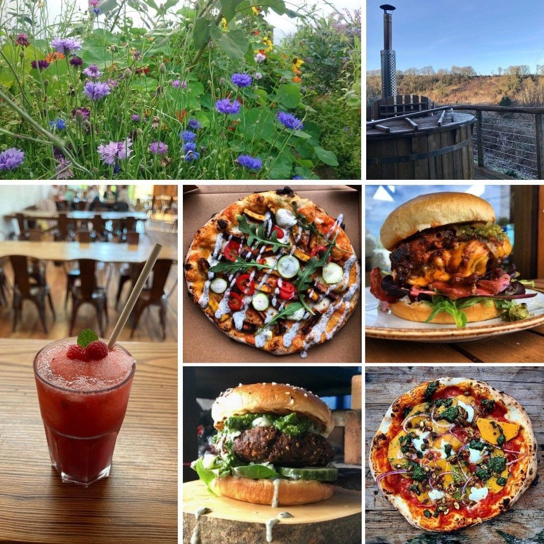 Nine-image collage of garden, pizzas, burgers and drinks