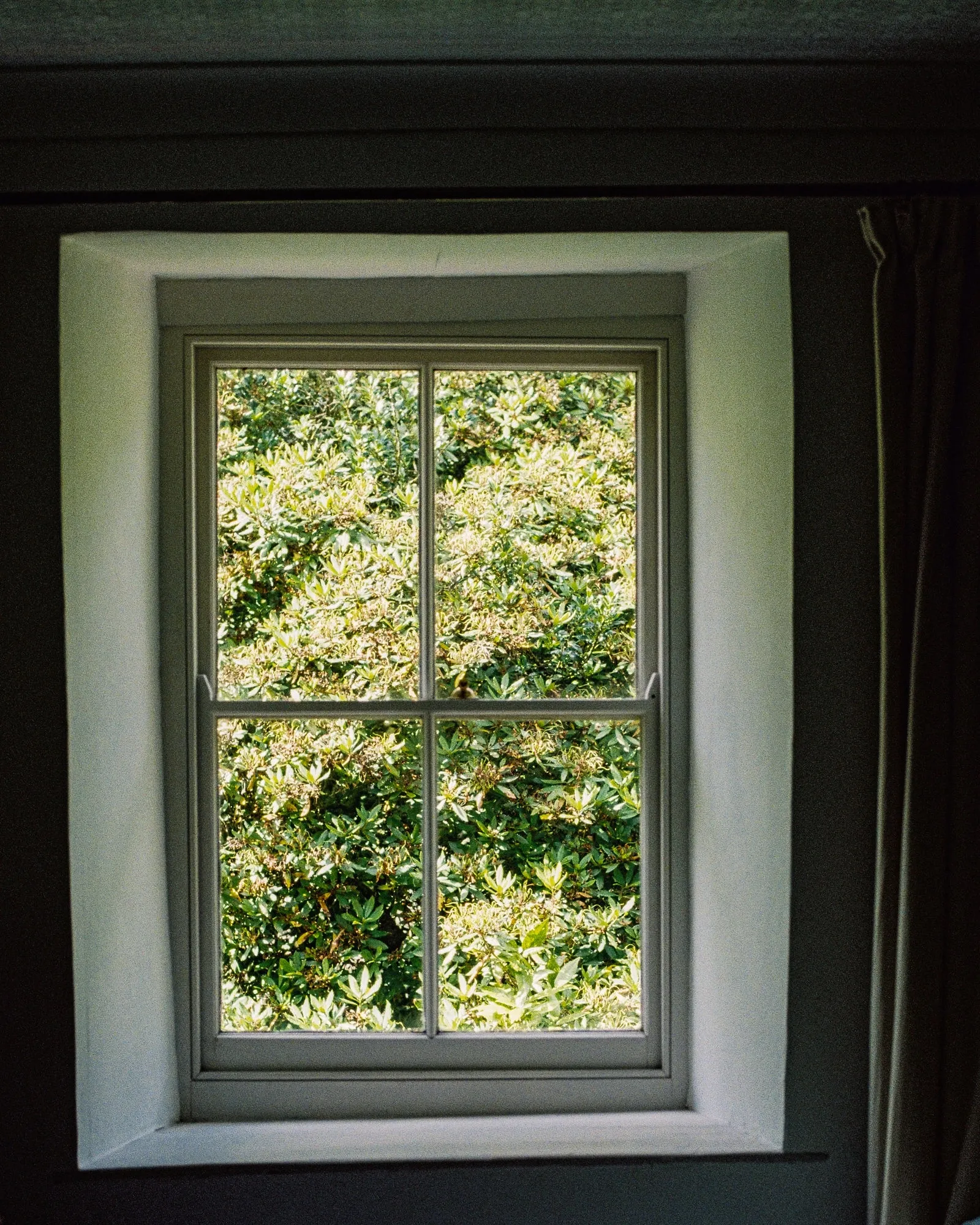Velindre House courtyard and peach-coloured exterior surrounded by greenery