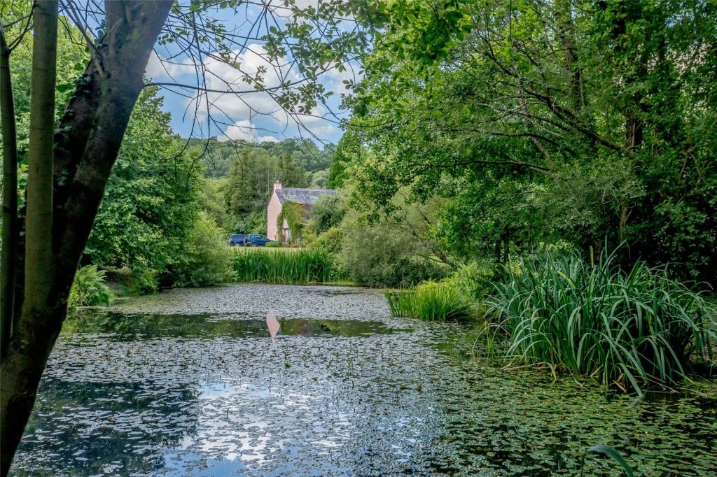 People wild swimming in forest river pool